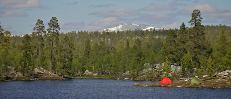 Uråldrig lägerplats? Foto: Naturcentrum AB.