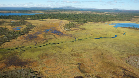 Myr vid Juttulslätten. Foto: Naturcentrum AB.