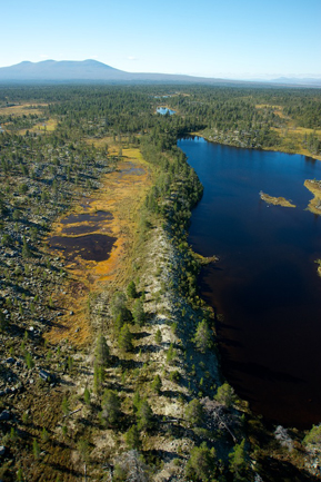En fin rullstensås. Foto: Naturcentrum AB.