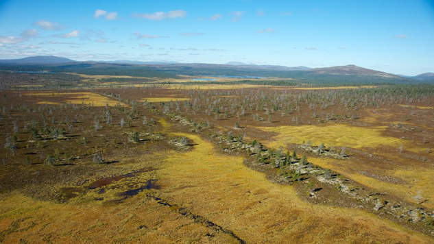 Ett märkligt istidslandskap. Foto: Naturcentrum AB.