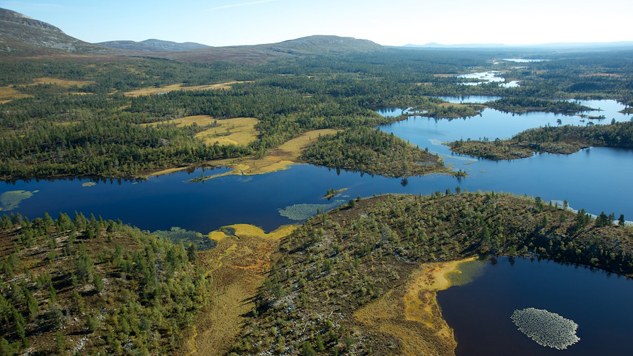Terräng med Rogenmorän. Foto: Naturcentrum AB.