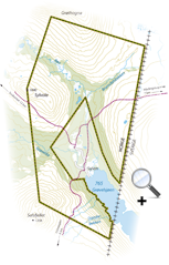 Grøvelsjøen - Klicka på bilden för att se den i större format (öppnas i ett popup-fönster)