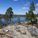 Landskap med rogenmorän.