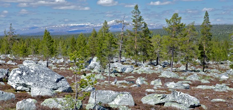 Femundsmarka - ett urtidspräglat landskap.