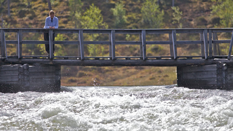 Fors i Røa. Foto: Naturcentrum AB.